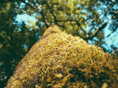 Getting started with CSS